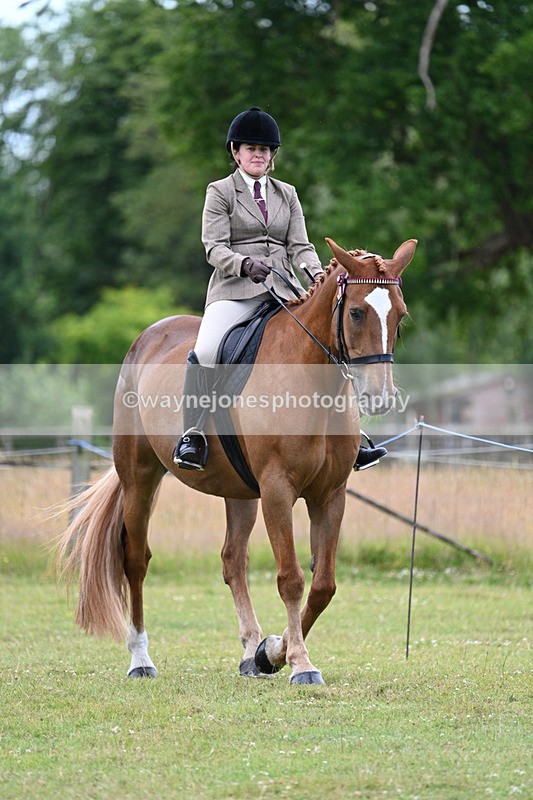 WJ7_8955 - Class 8 Ridden Veterans