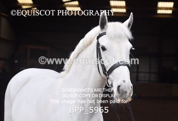 BPP_5965 - Erin Hancock ×2