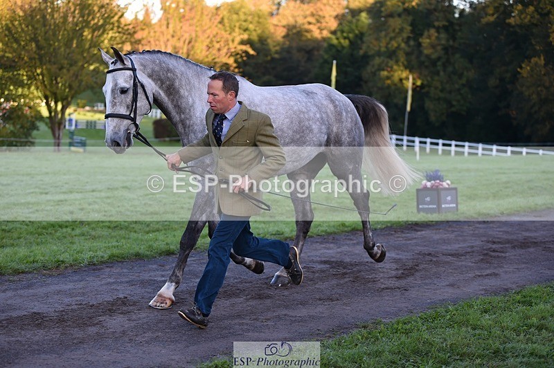 231022-083624-21254 - 681-CAPPA.OREO-Will.van.Ufford-TrotUp+SJ