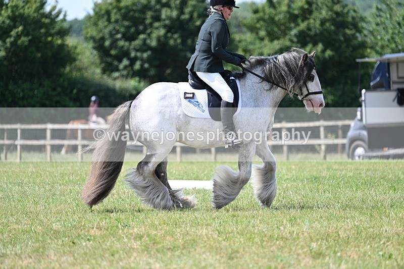 WJ7_3741 - Time 10:28 to 10:42