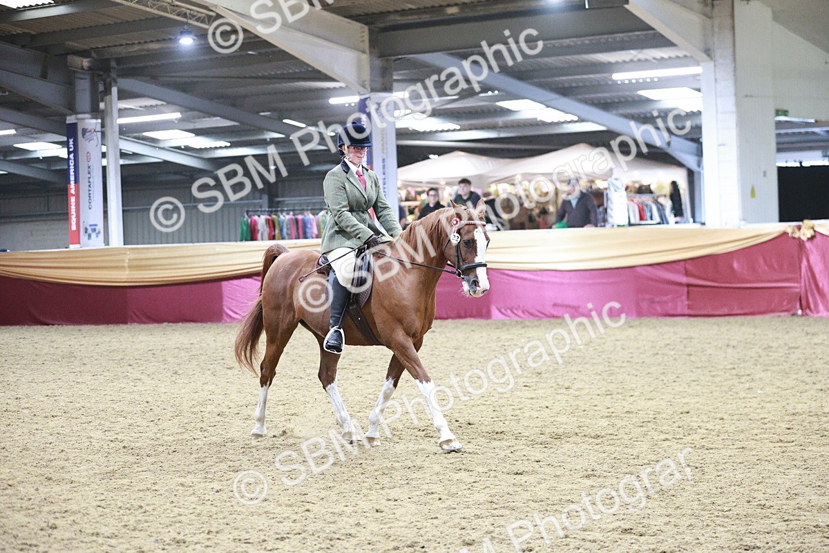 SBM_08134 - Class 11R - Regional Ridden Veteran