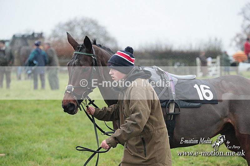 PtP 031223 296 - Wheatland Hunt PtP Chaddesley Races 03/12/23
