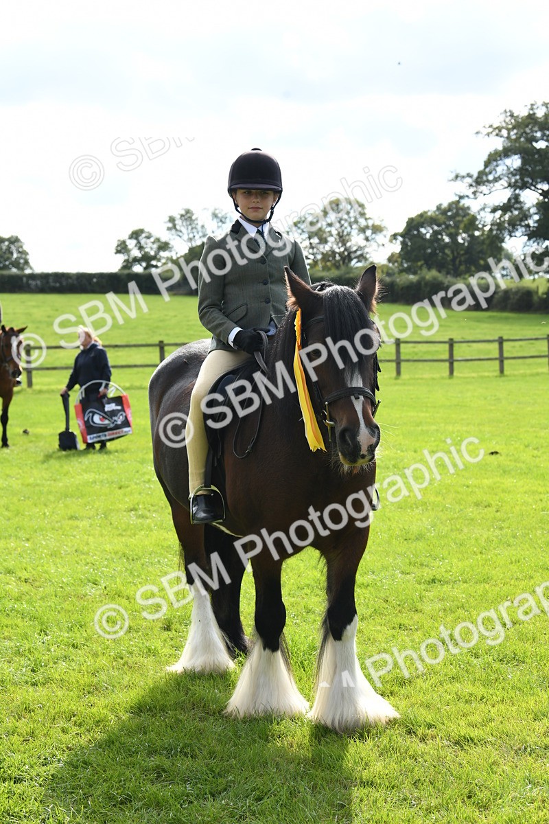 SBM_47256 - S12 - Family Horse & Pony