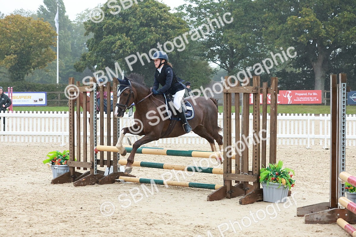 SBM_73428 - Supreme Championship Junior Pony 60cm & 65cm