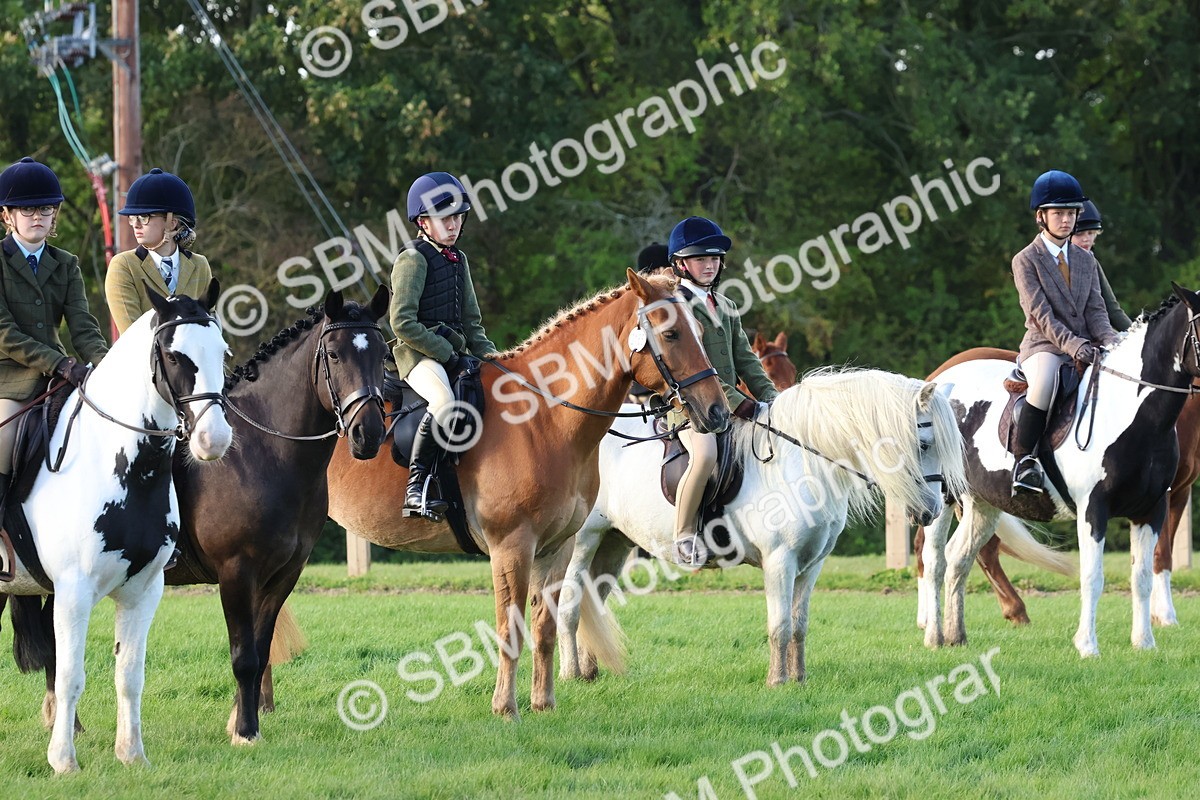 SBM_52558 - S13 - Pony Club Pony