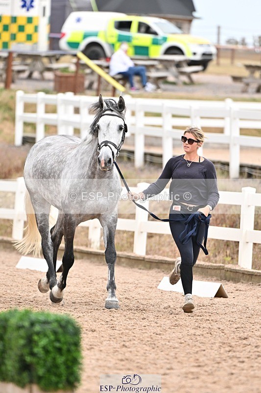 250716-155537-02287 - Trot Up 3.30 to 4.30