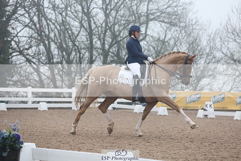 240217A-123254-02900 - 274-Clare.Smith-Dori.Dragon.Fly