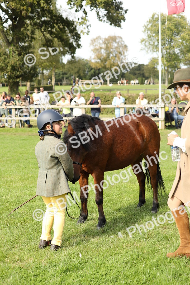 SBM_68584 - S40 - Junior Handler 9-12 Years