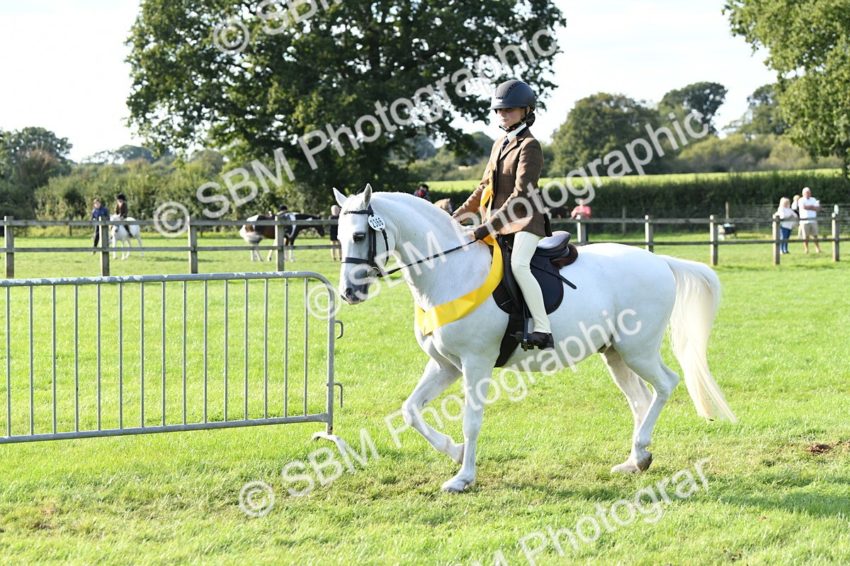 SBM_52075 - S21 - Novice & Newcomers 1st Ridden Pony