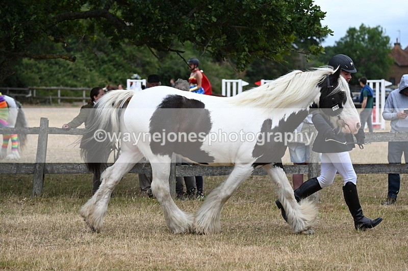 WJ6_8349 - Class 10 Coloured in Hand