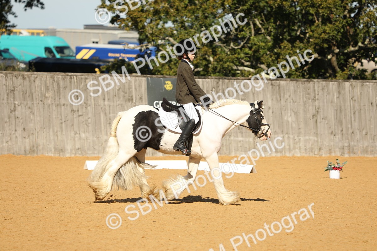 SBM_40372 - D21 - Junior Championship - Intro A