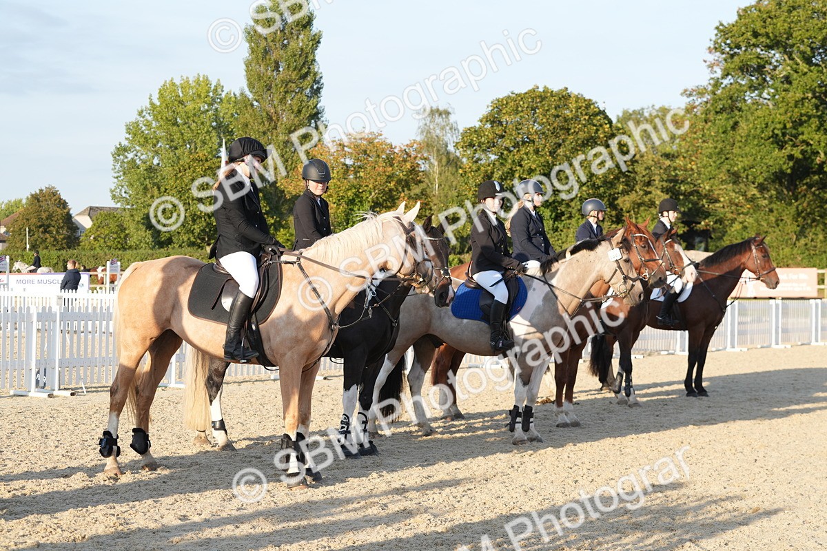 SBM_54298 - J23 - Junior Horse 70cm Championship