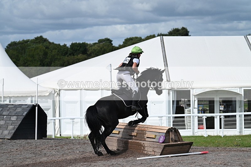 WJ7_1354 - Time 12:34 to 13:16