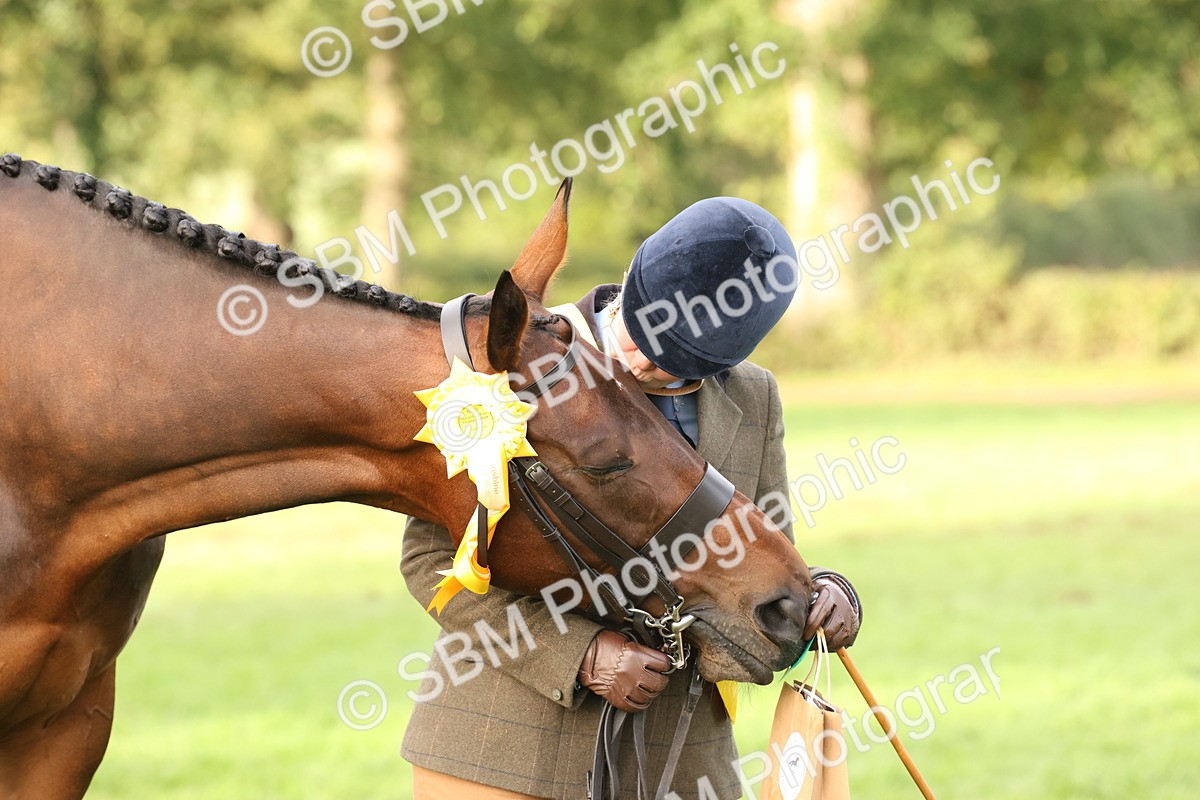 SBM_55008 - S52 - Riding Horse & Hack & thoroughbred In Hand