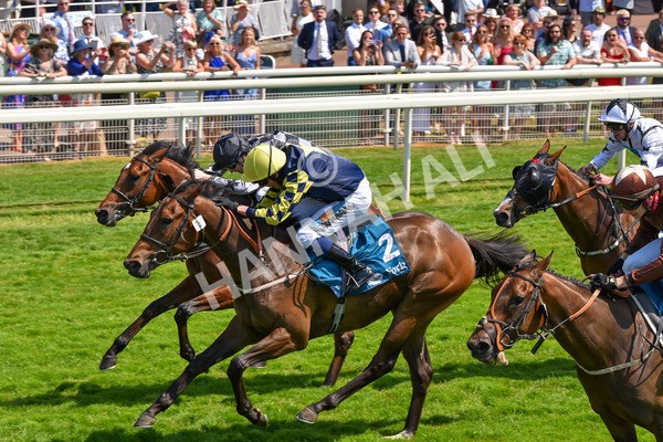 160623-Race 2-Celestial Flight-6177 - Race 2 2.25pm SKF Rous Selling Stakes