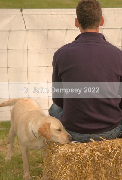 Glamis 17 web - Walking the Dog