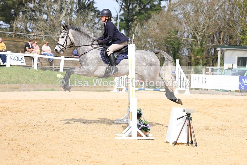 3E7A6815 - Class 4: Senior British Novice/90cm open