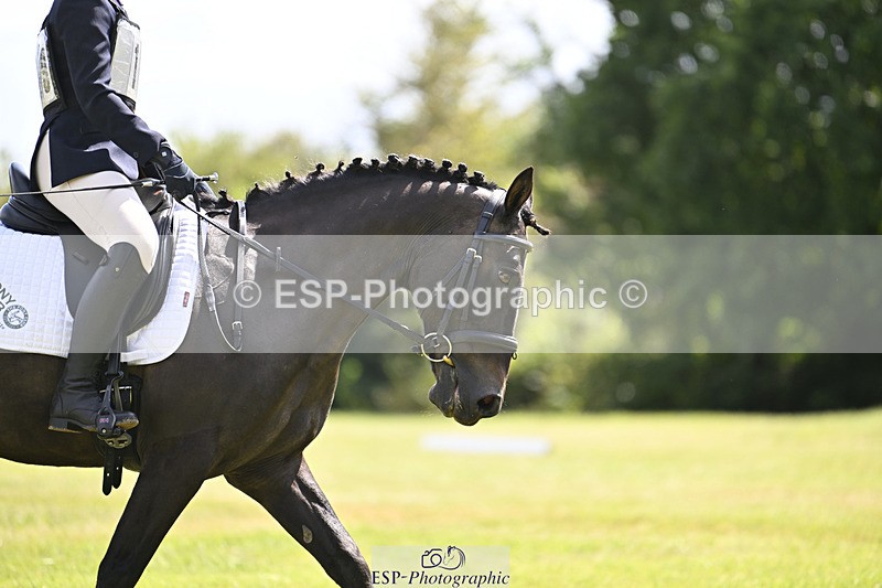 240824X-131022-26719 - D80 Section E and F 12.00 to 13.20