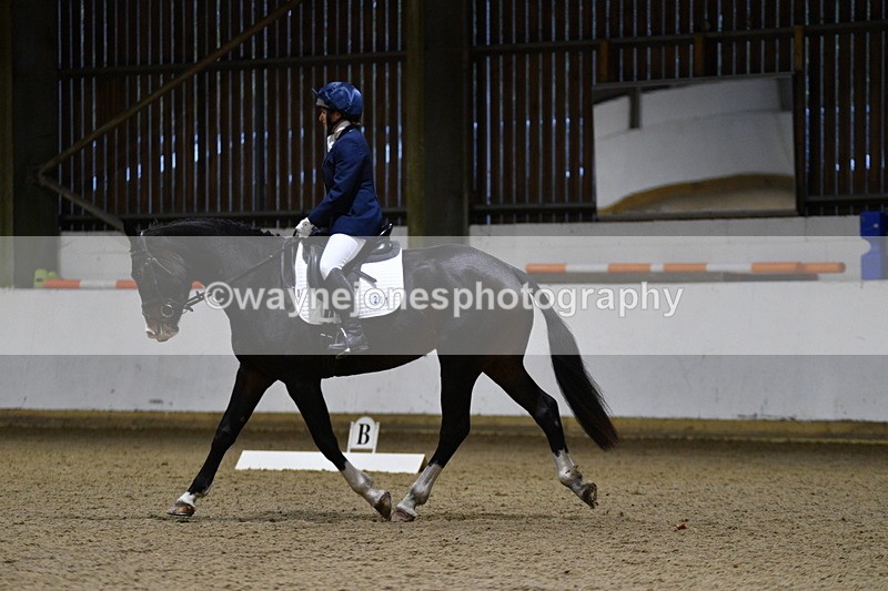 WJ5_8644 - Class 5 Novice Test 3