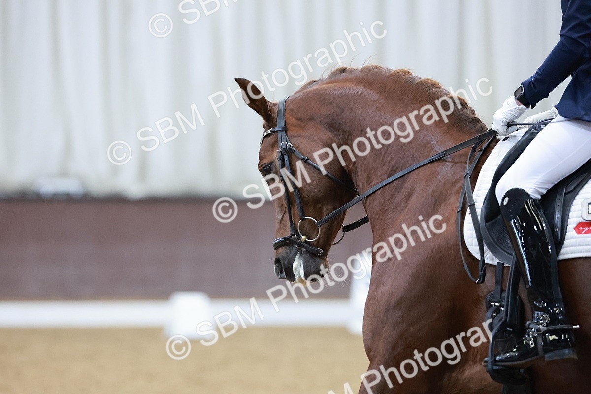 SBM_004271 - Class 5-7-8 - N5-E4-E5