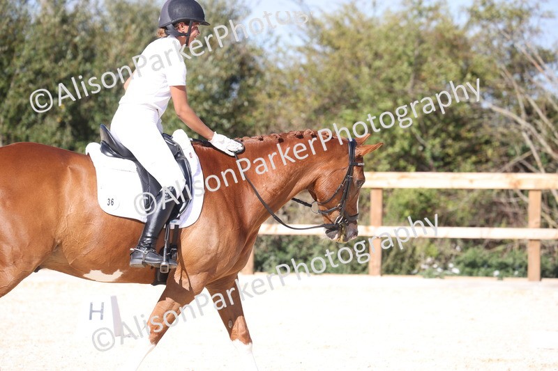 20260905-1556 - Class 5 - Novice 2