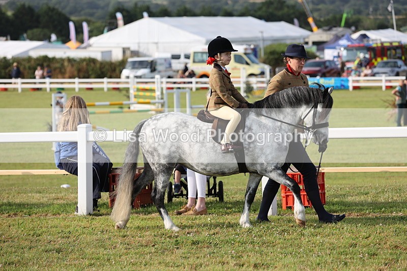 JPP_0172 - Class 14: Cornish Combination Leading Rein