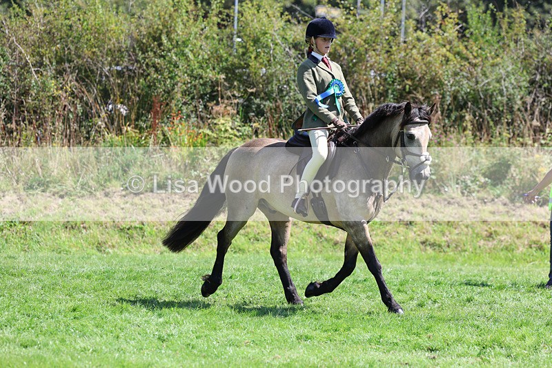 3E7A9184 - Working Hunter Championship