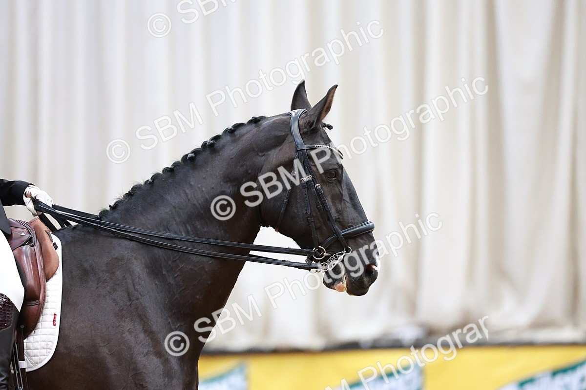 SBM_003465 - Class 8 - Medium 5