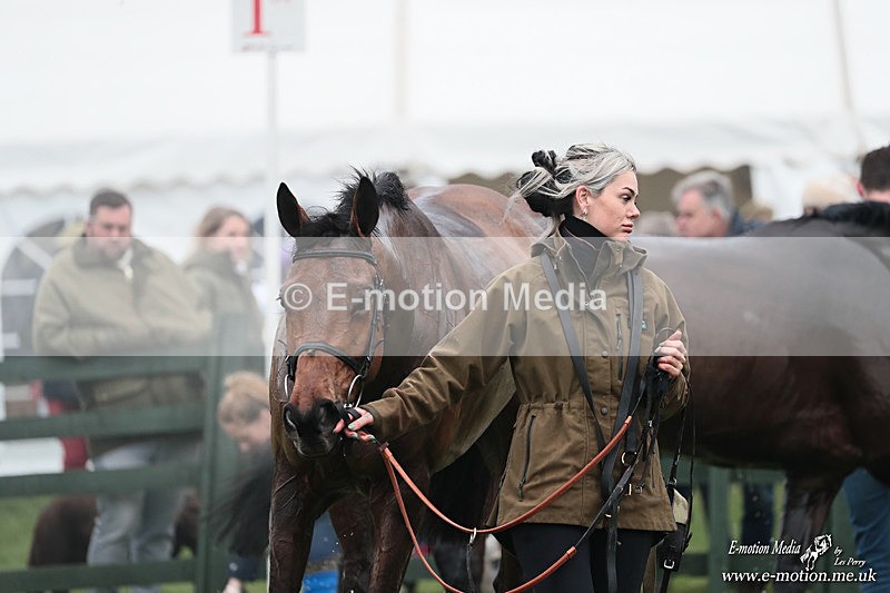 PtP 080326 234 - Pytchley with Woodland Point-to-Point Guilsborough 08/03/26