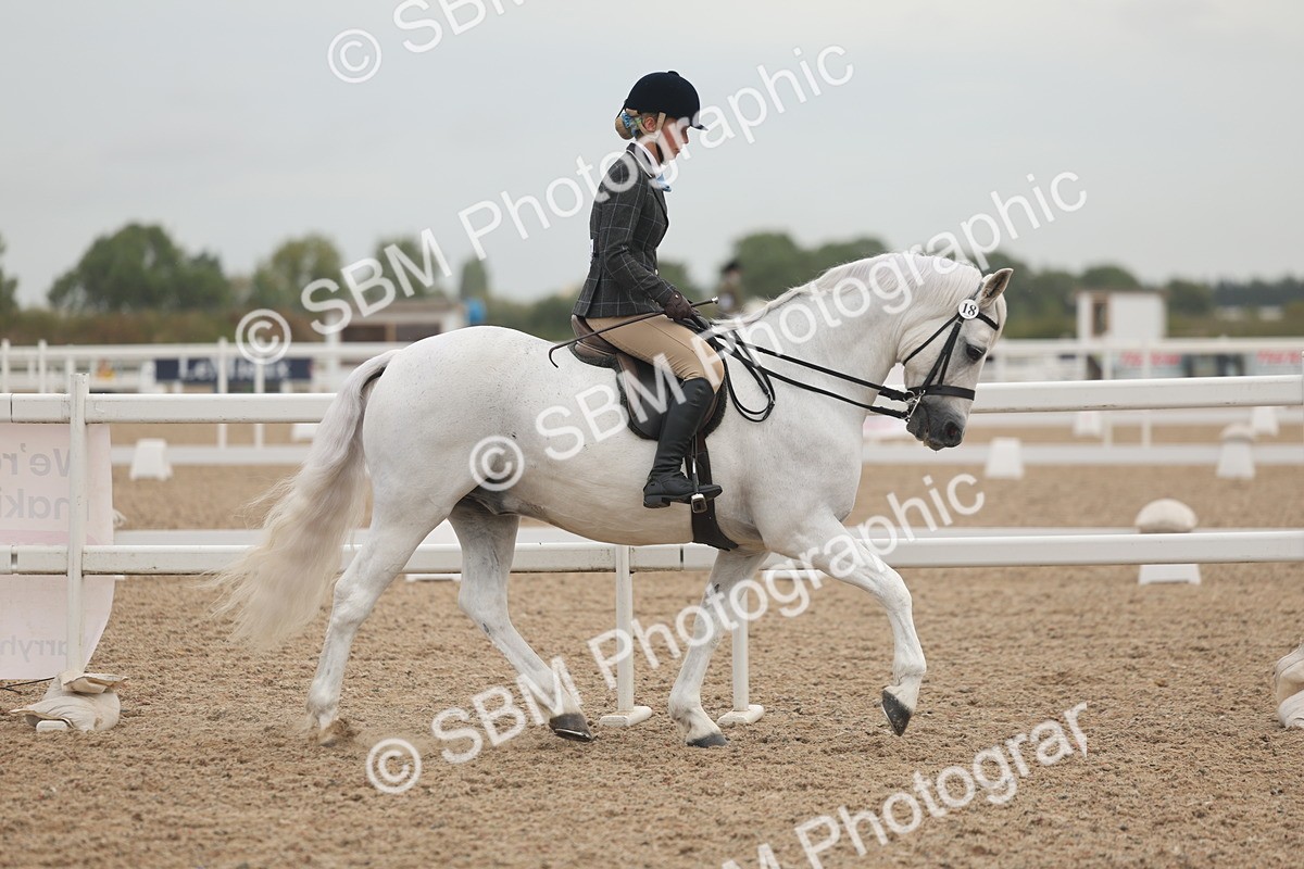 SBM_01854 - Class 14 - Ridden M&M Wildcard