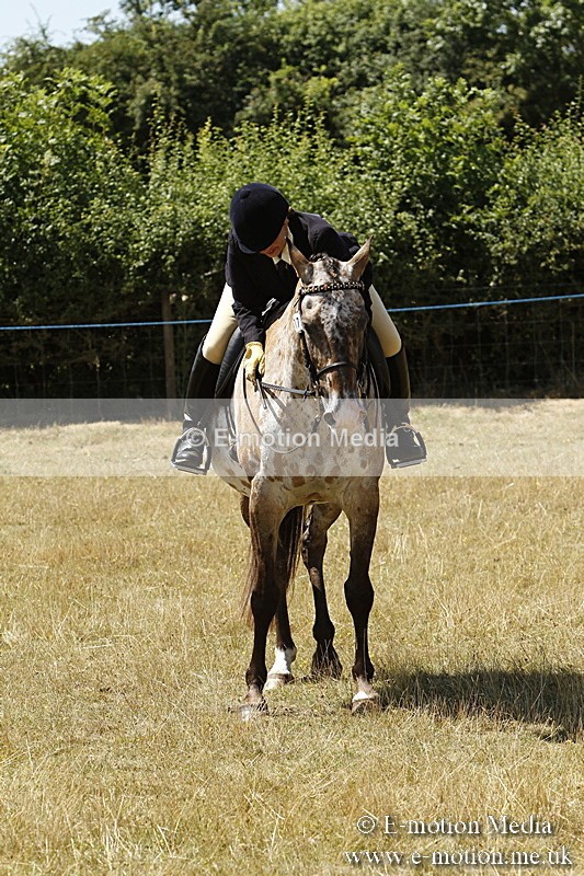 _BS_0854 - BVRC Show 2018 Ring 1