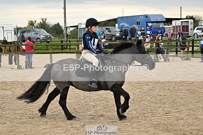 241110-134310-00919 - 60-65cm Arena Eventing