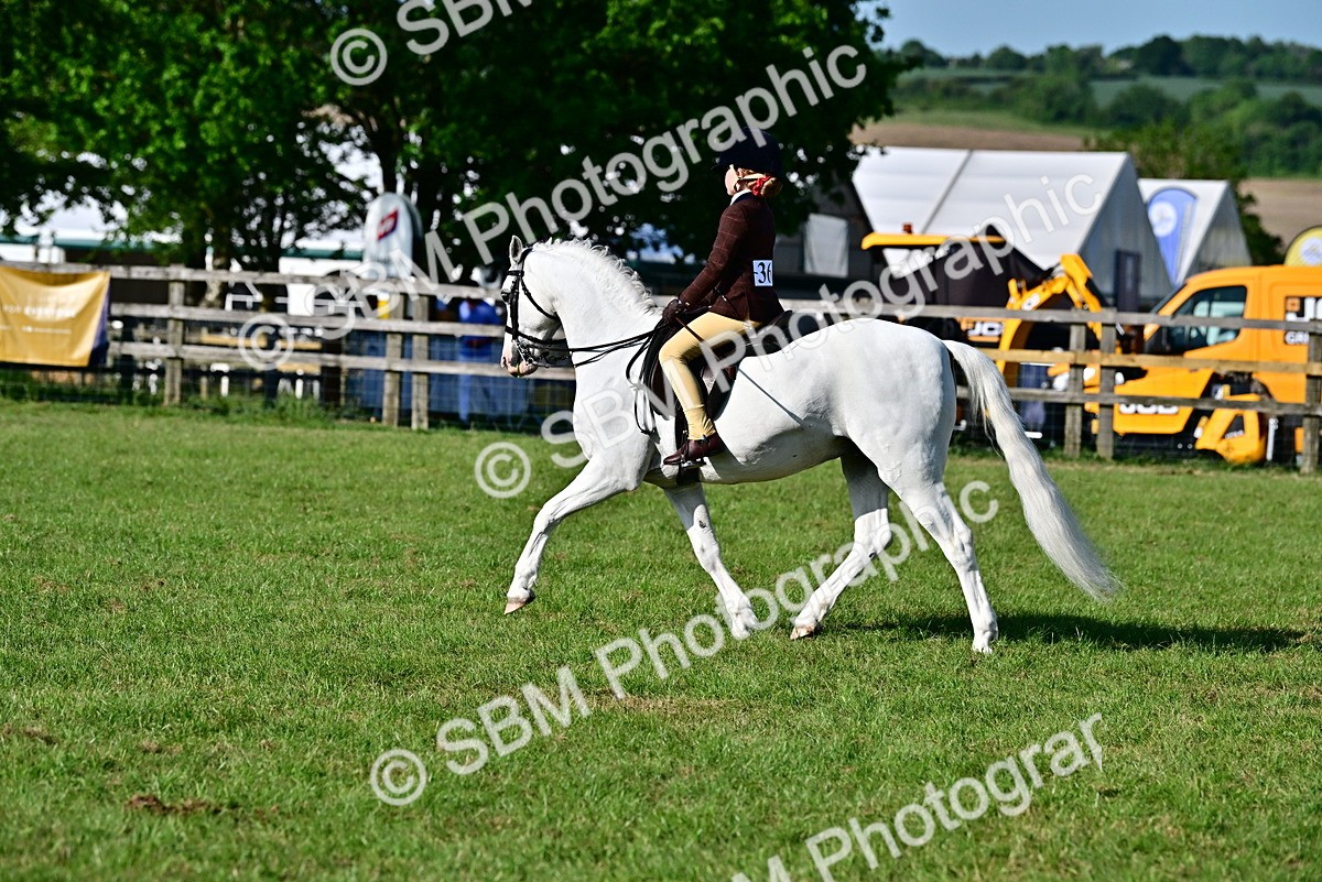 SBM_19885 - Class 103 - 105 - TSR Ridden Amateur of the Year Plaited Ponies