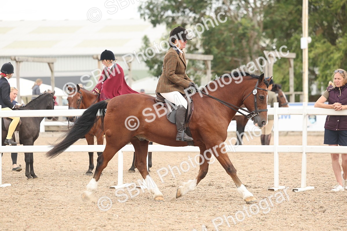 SBM_18160 - Class 315 - Best Horse-Rider Combination
