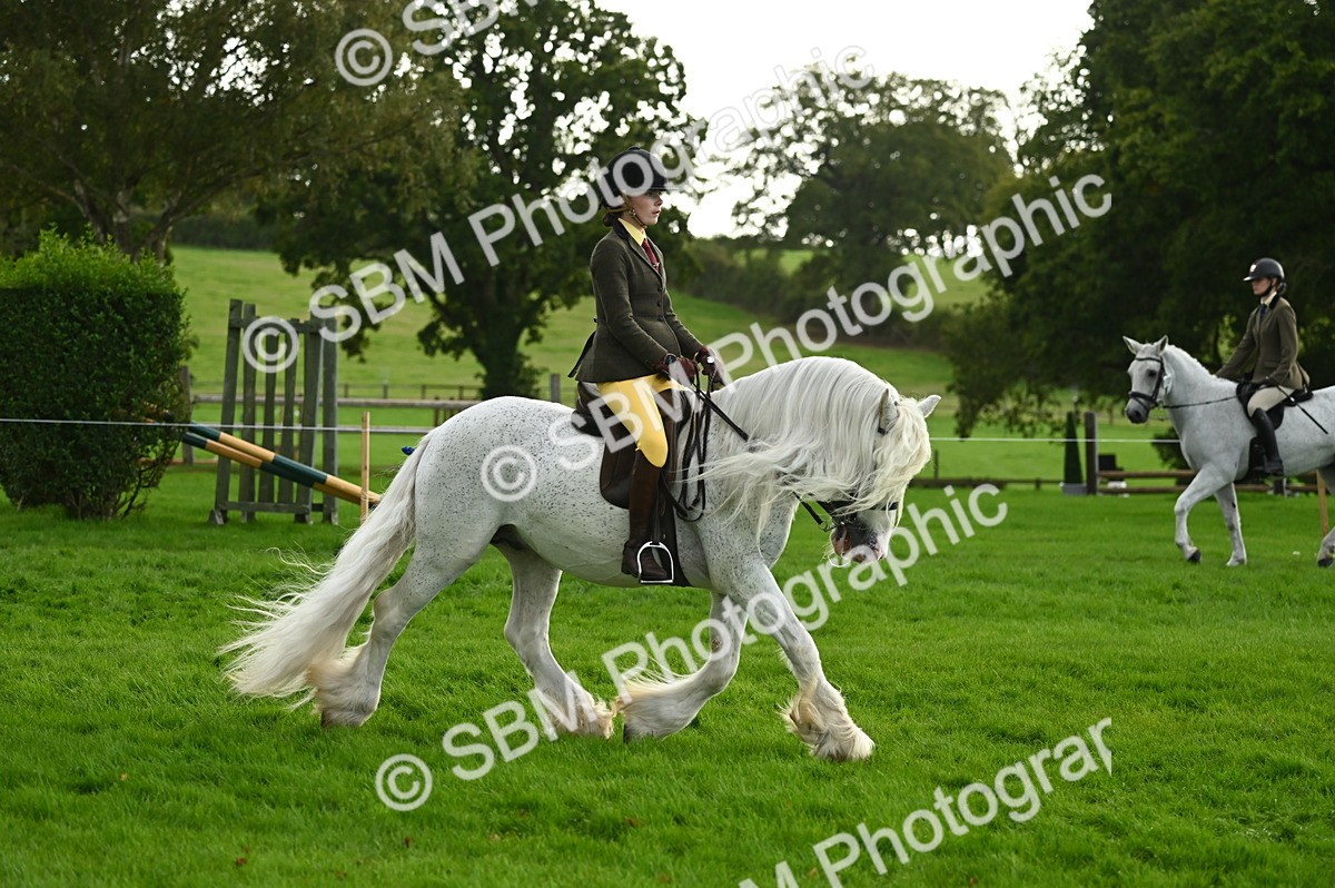 SBM_26615 - S7 - Novice & Newcomer Ridden Pony