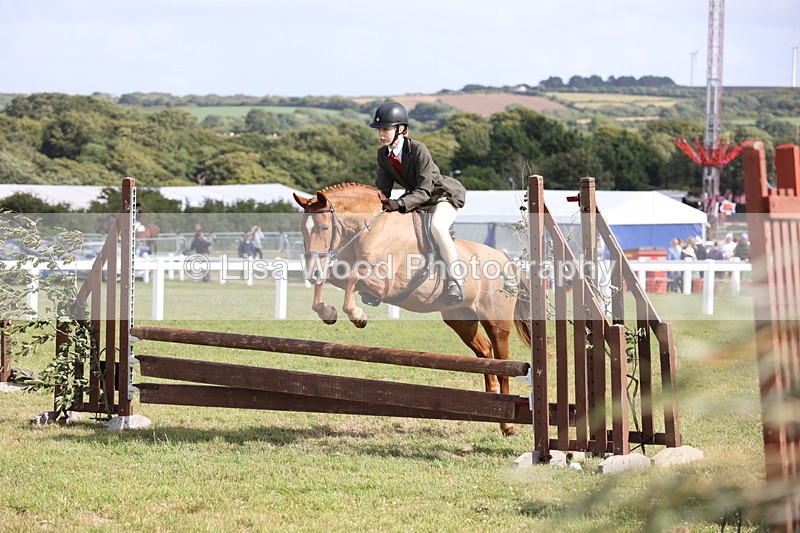 JPP_2738 - Class 20: Working Hunter 70cm