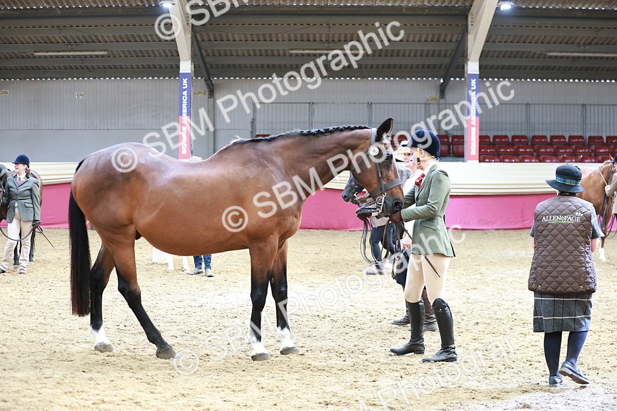 SBM_04820 - Class 7R - Regional IH Diamond