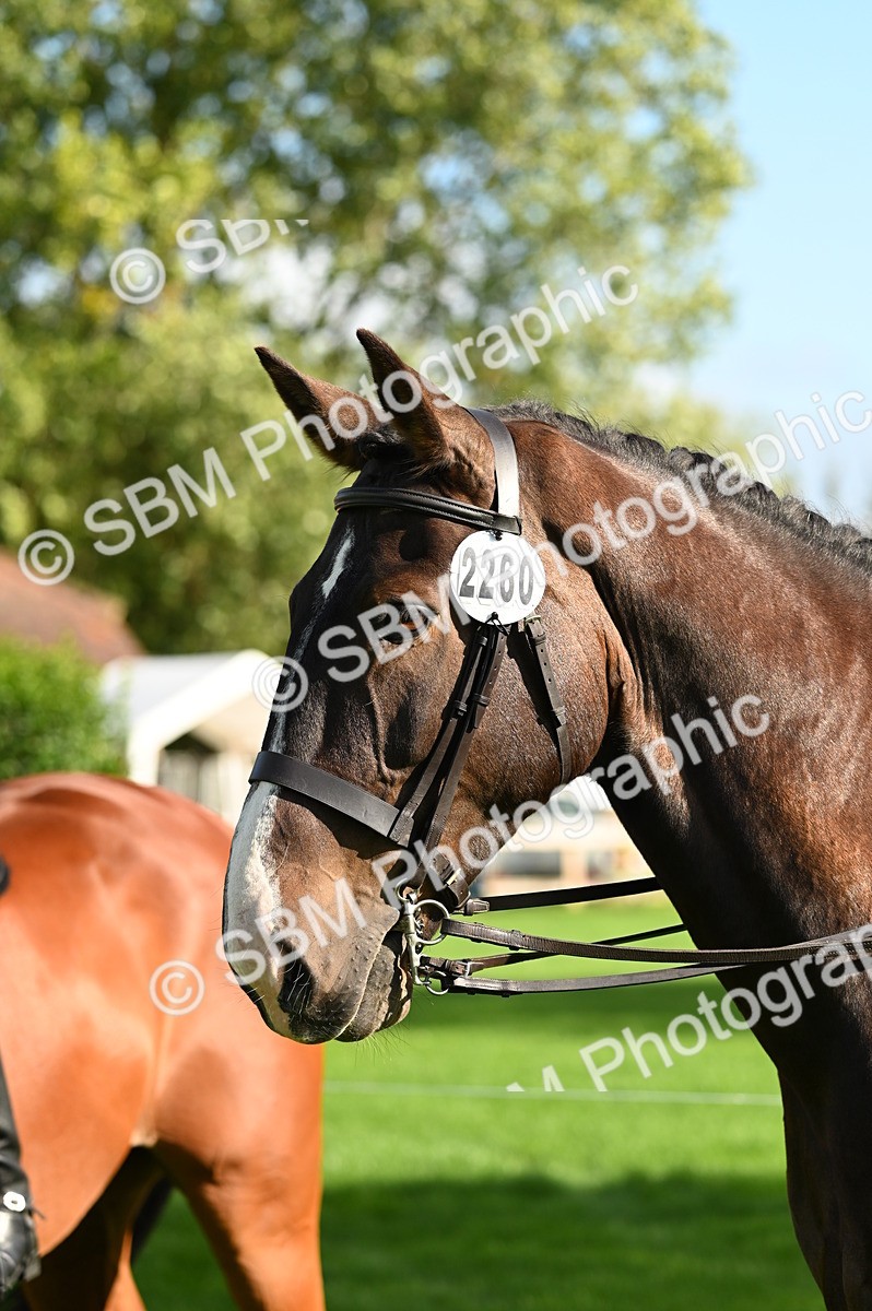 SBM_26448 - S6 - Novice & newcomer Ridden horse