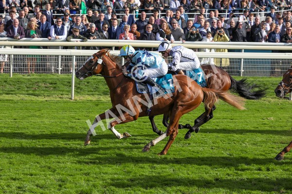 141023-Race 2-Whiskey Pete-0360 - Race 2 1.50pm Play Coral 'Racing-Super-Series' For Free Nursery Handicap