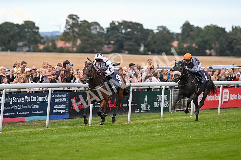 290725-Race 5-U Turn-0667 - Race 5