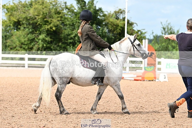 240809A-111312-00090 - Showjumping Competition