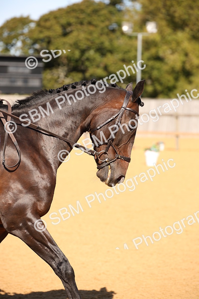 SBM_18560 - D31 - Grand Tour - PYO Open