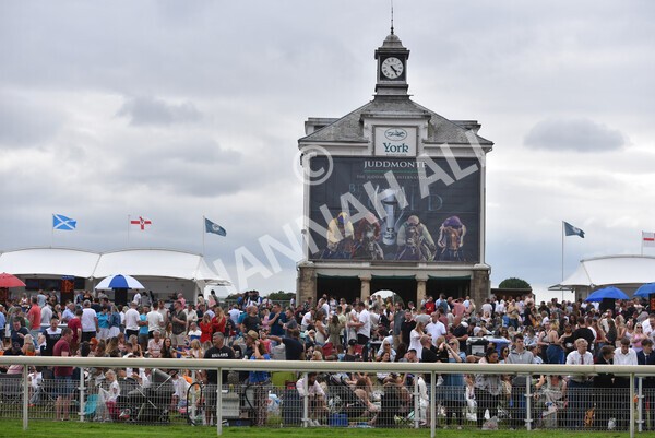 yr23072022r5-54 - Race 5 4.25pm Sky Bet UK's No1 Betting App Stakes