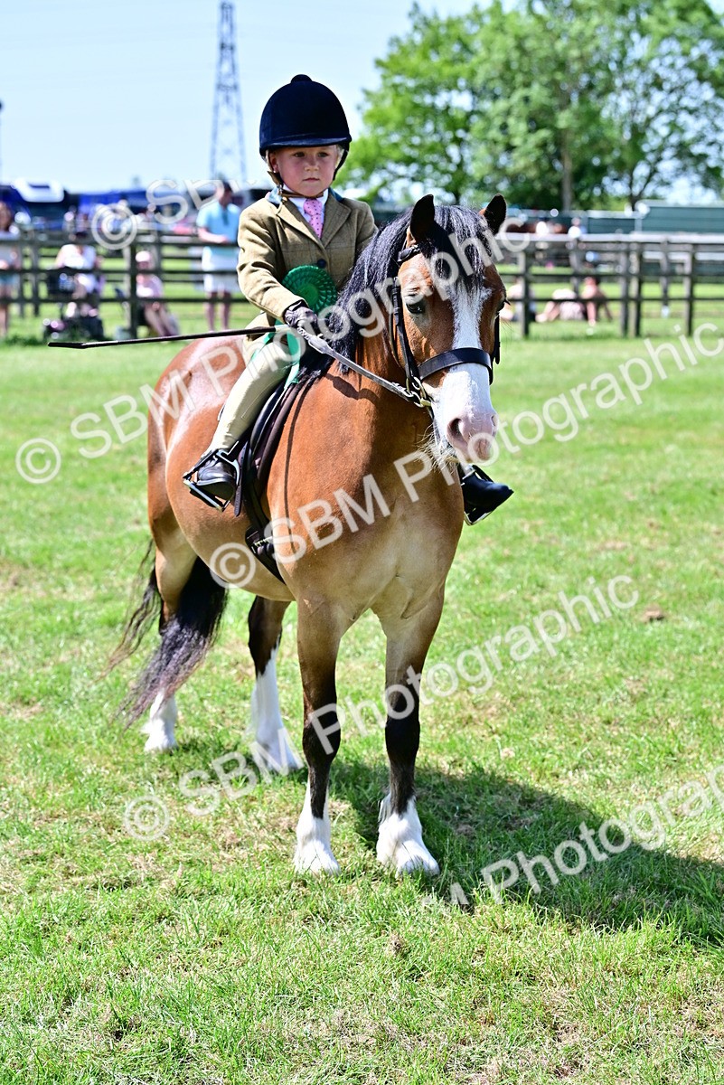 SBM_06130 - Class 59-60 - TSR M&M  Lear Rein and First Ridden Amateur of the year