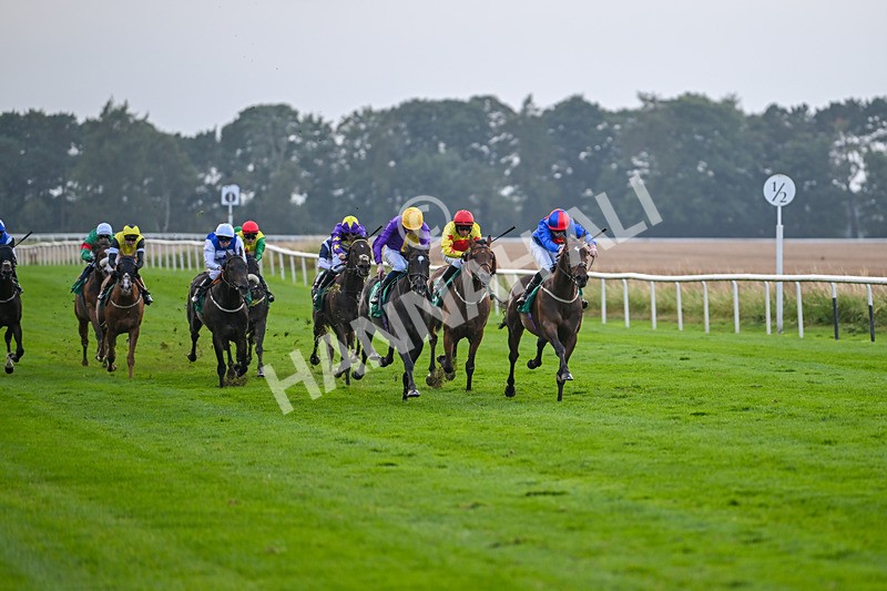 070924-Race 8-Desert Falcon-8048 - Race 8