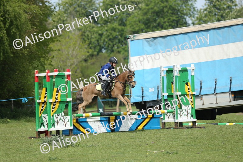 20260426-1734 - Class 14 - Novice 60cm