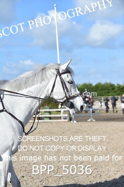 BPP_5036 - CLASS 13  Senior Discovery/ 1m Open