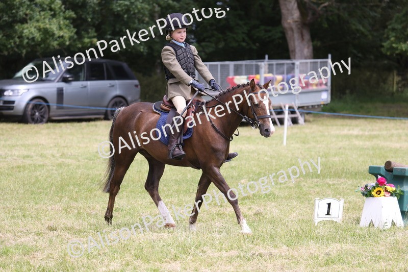 20260614-2861 - Class 22 - Open Working Hunter