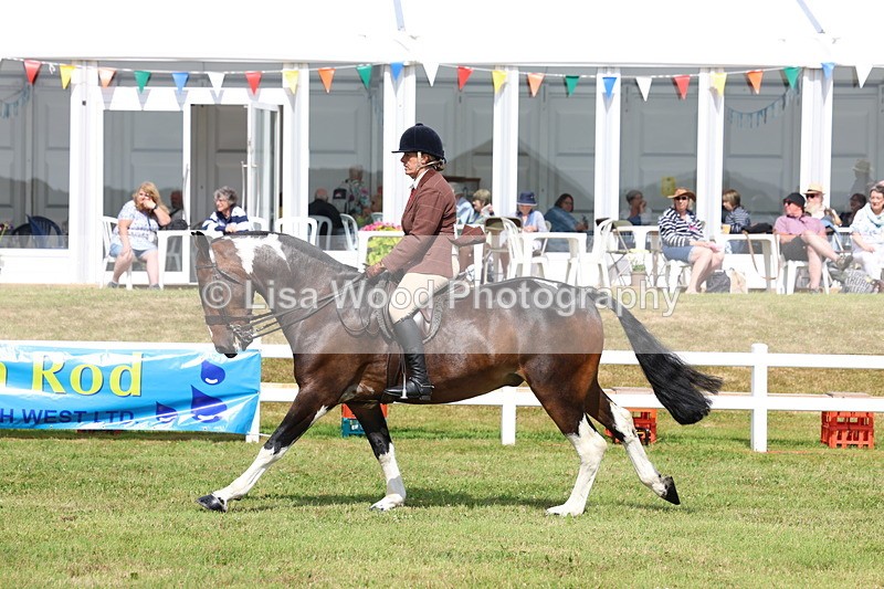 3E7A9761 - Class 5: Rising Star Lightweight/Heavyweight Cobs