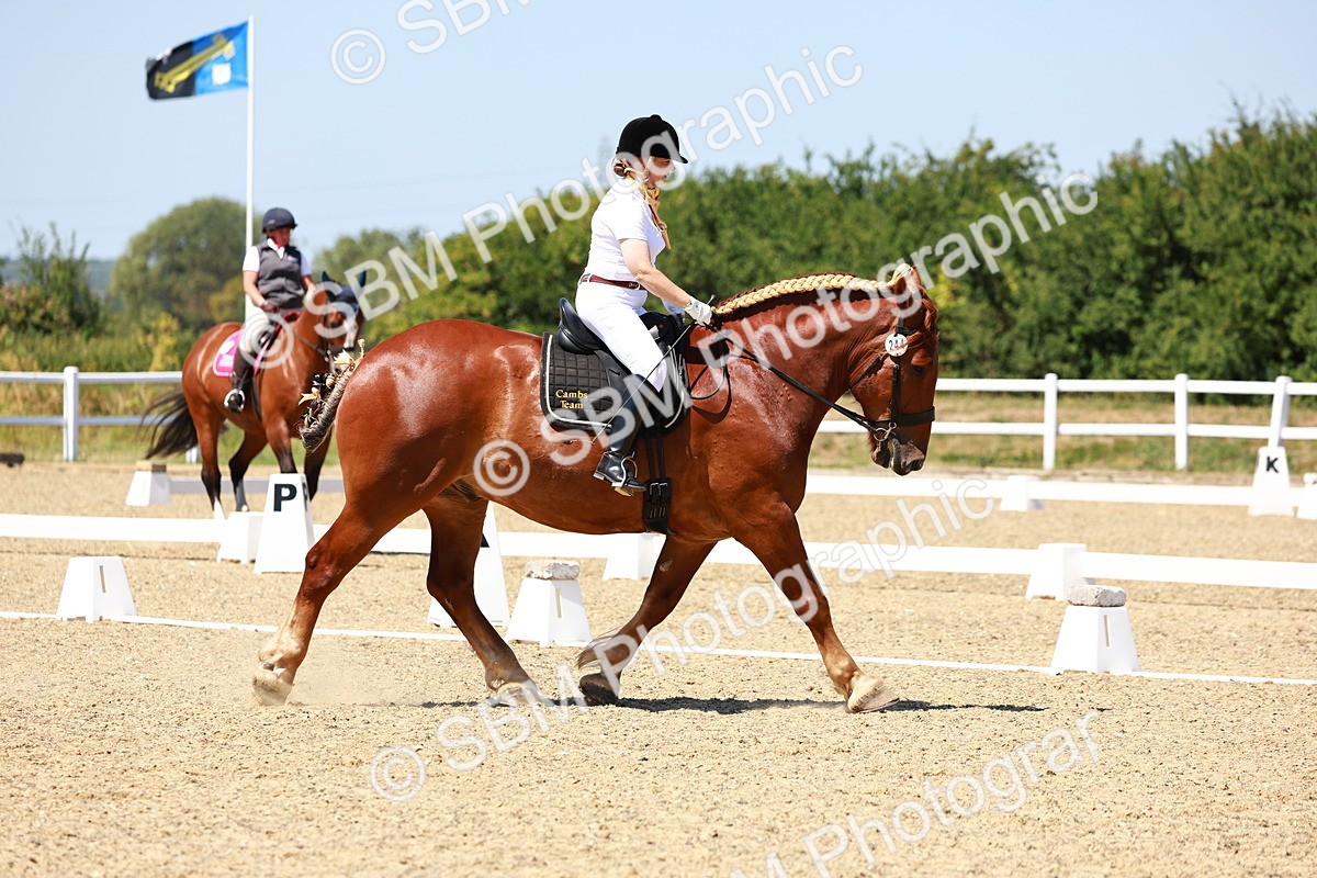 SBM_011800 - Intro 3 - 13.00-14.10